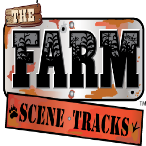 FSI tracks logo