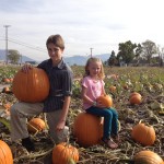 U-Pick Pumpkin Patch