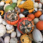 Assorted Gourds