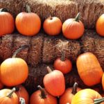 Assorted Pumpkins