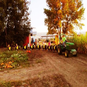 Tractor Barrel Ride