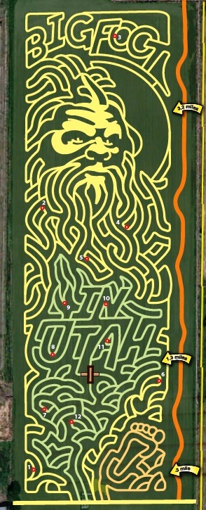 2016 Maze Design